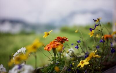 Étude de cas – « La douleur ne lâche pas… »